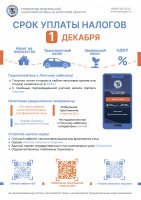 Срок уплаты налогов