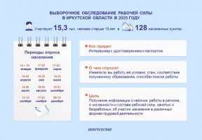 Выборочное обследование рабочей силы в Иркутской области в 2025 году